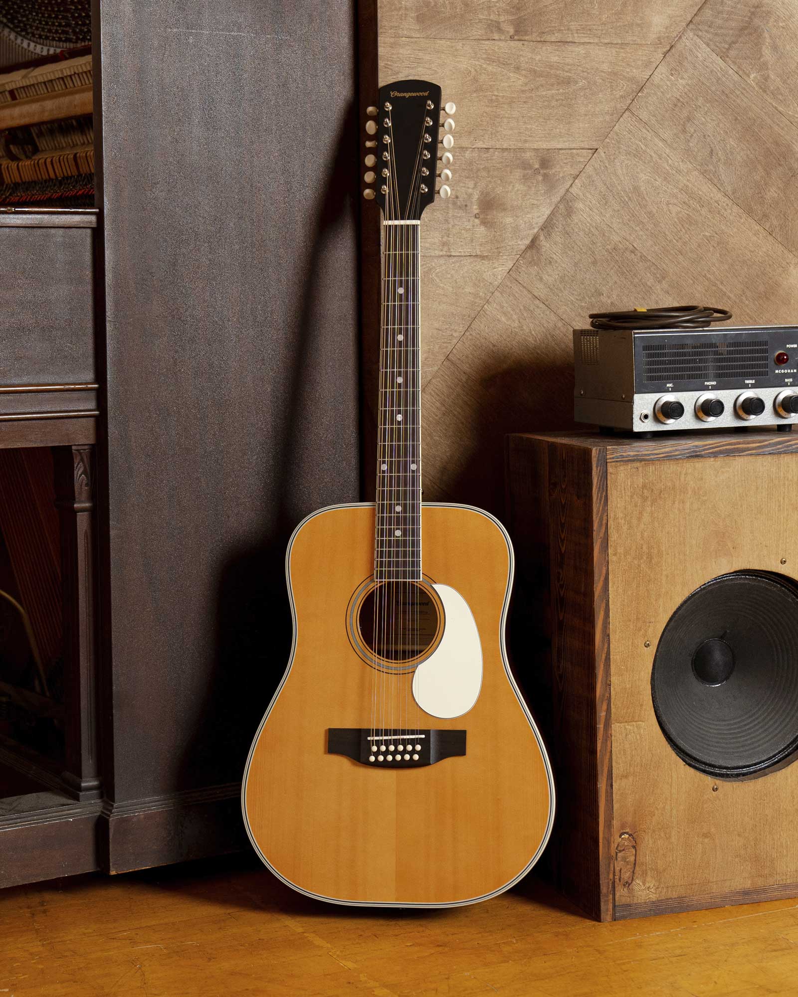 Austen Retro Live 12-String - Image 6