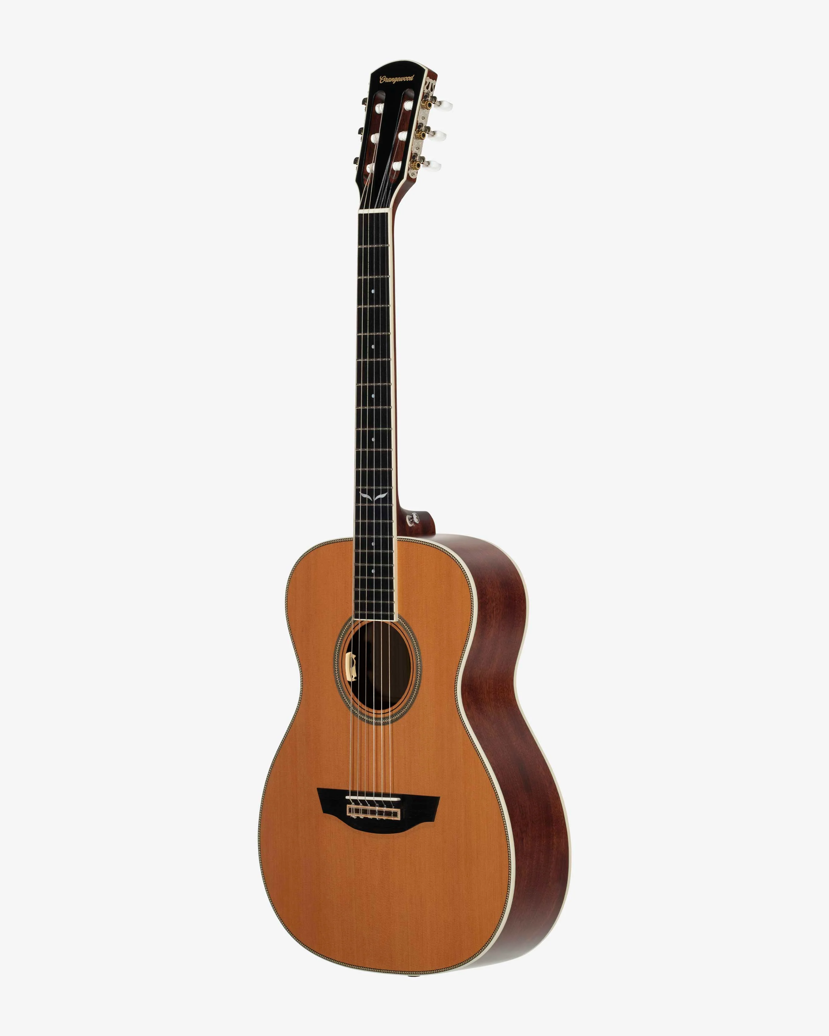 Ava Live Nylon-String - Image 3