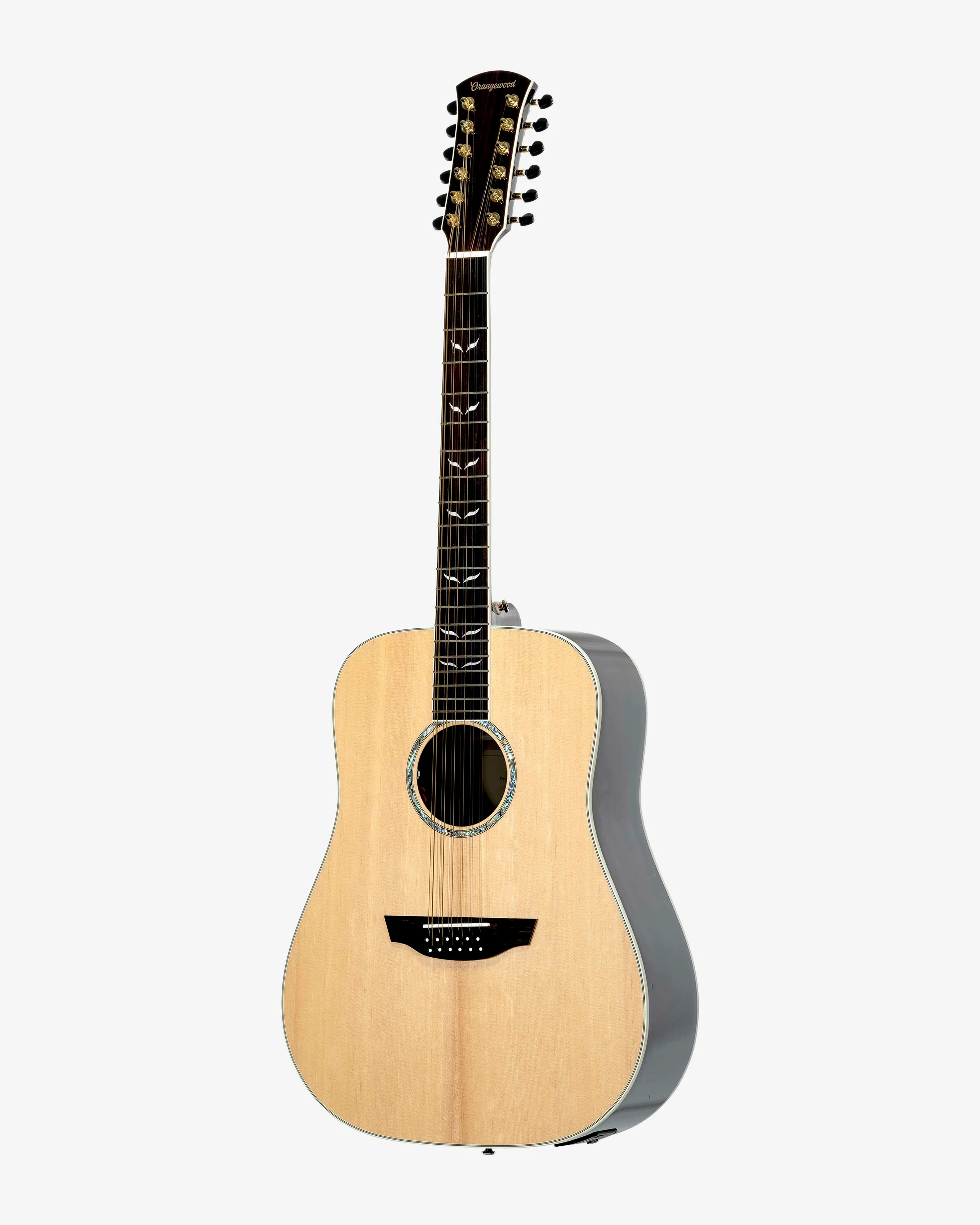 Echo Live 12-String - Image 3