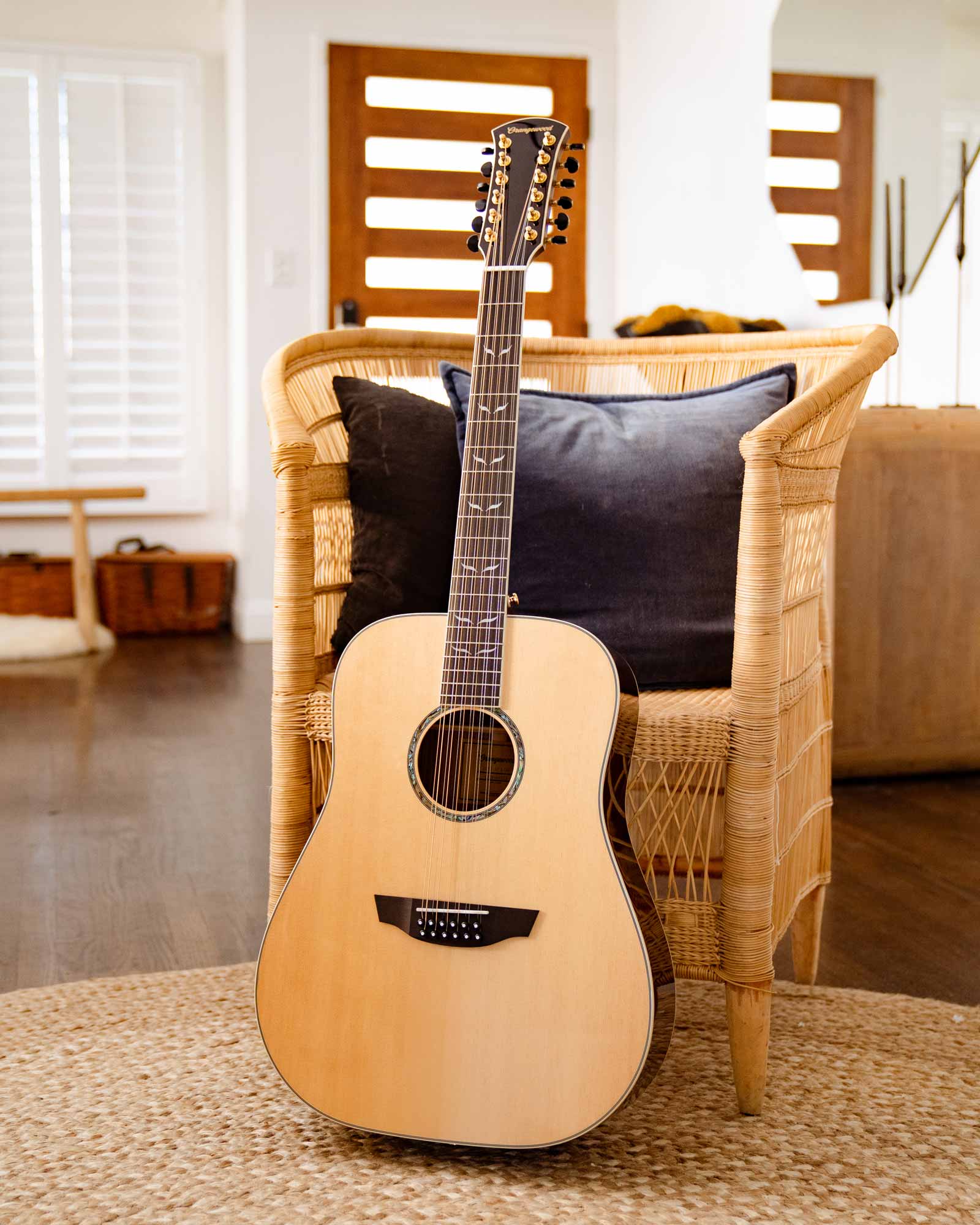 Echo Live 12-String - Image 7