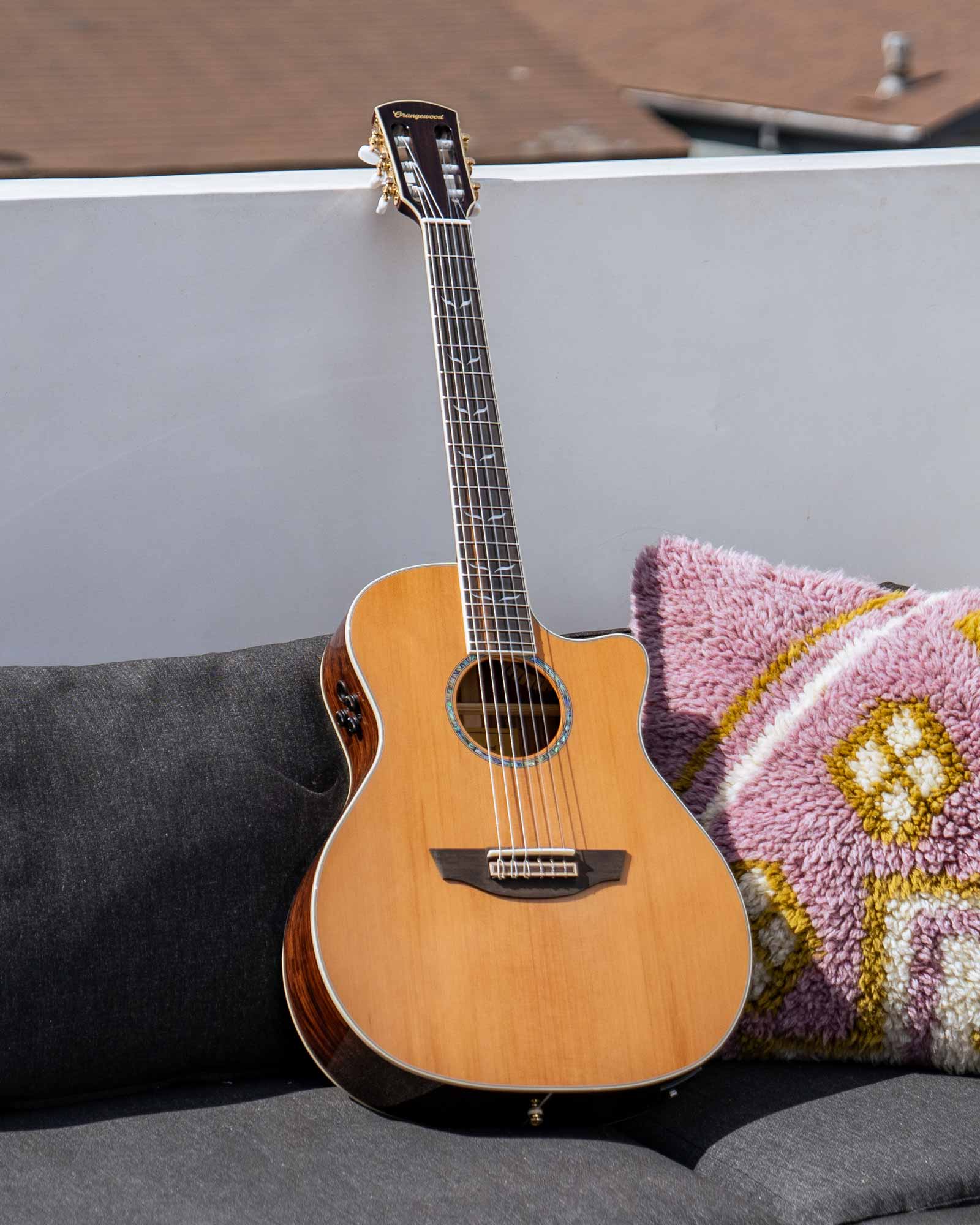Mason Live Nylon-String - Image 6
