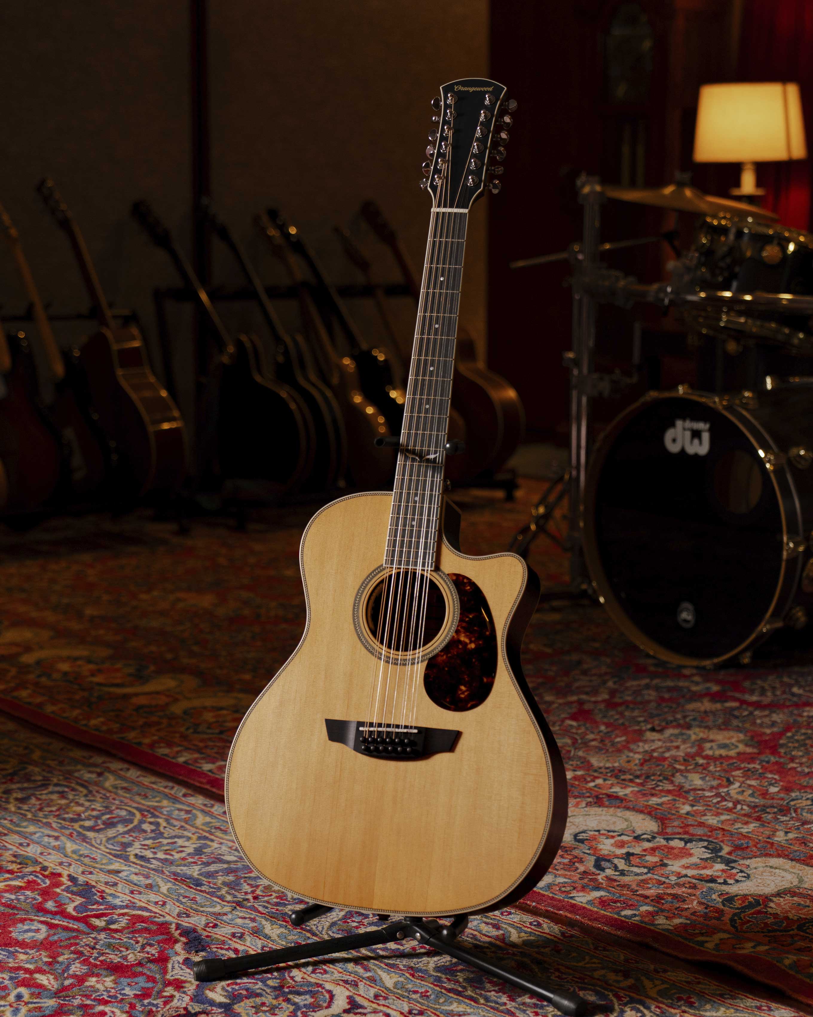 Sage Live 12-String - Image 7