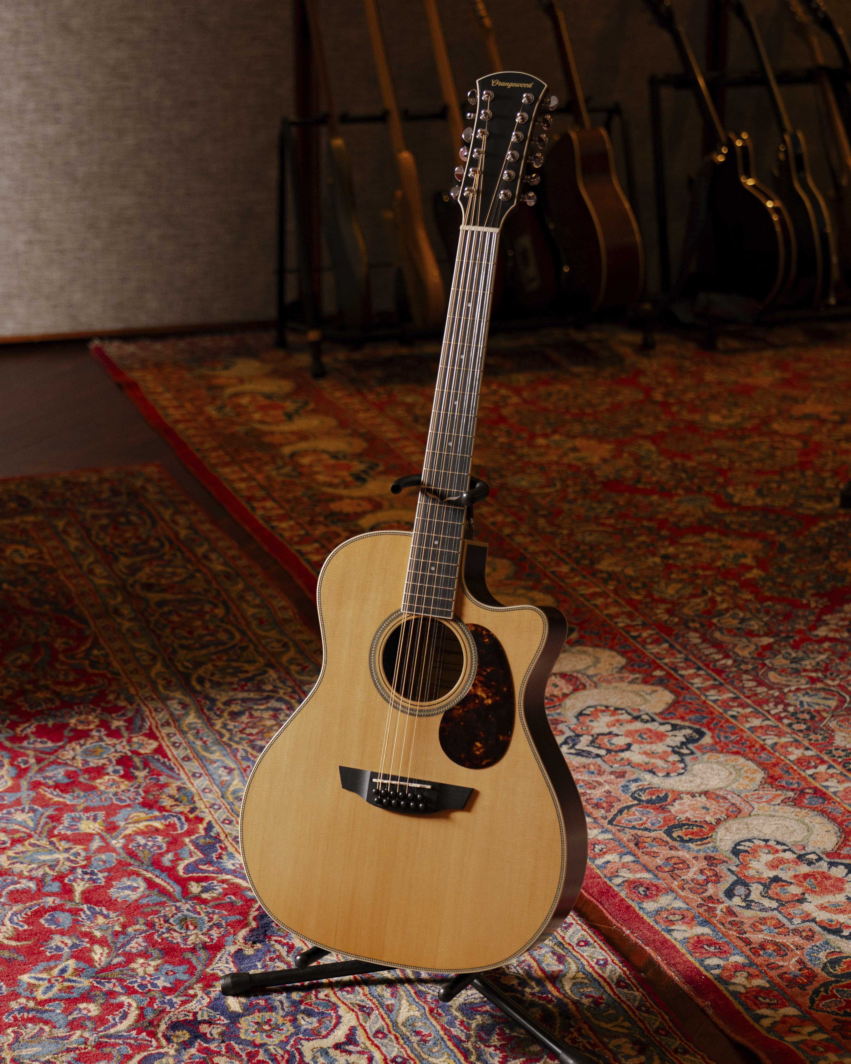 Sage 12-String - Image 7